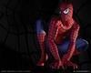 Rys 91: 163389_wallpaper_spider_man_the_move_game_01_1280.jpg [312230 bajt�w]